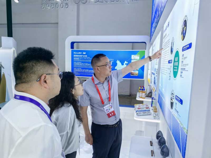 图片13.jpg